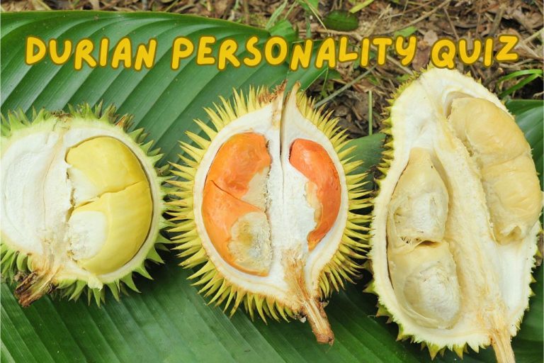 durian personality quiz
