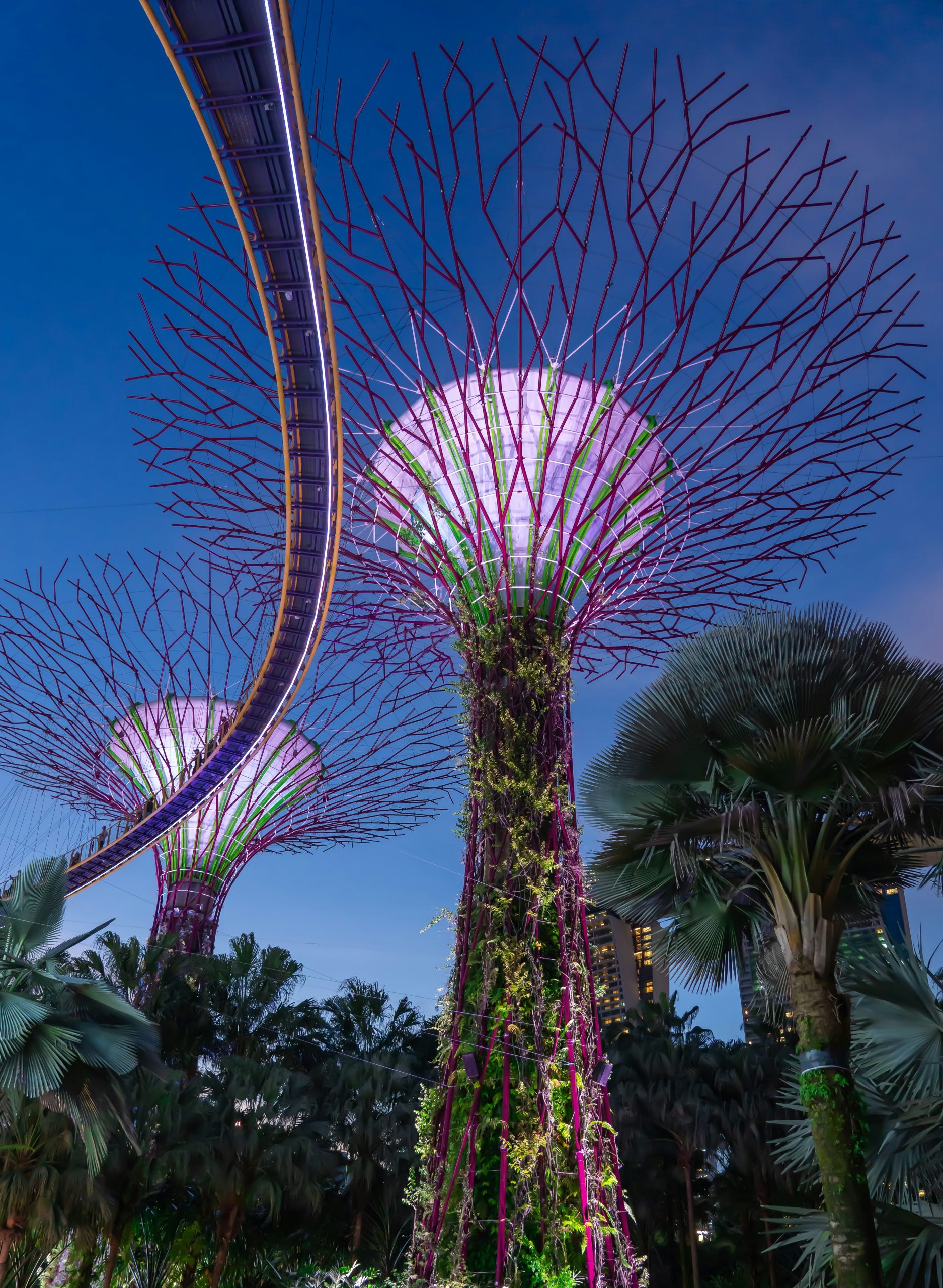 Garden of Dreams, Singapore